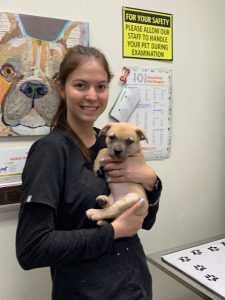 Staring Plaza Veterinary Center 2024-08 (2)